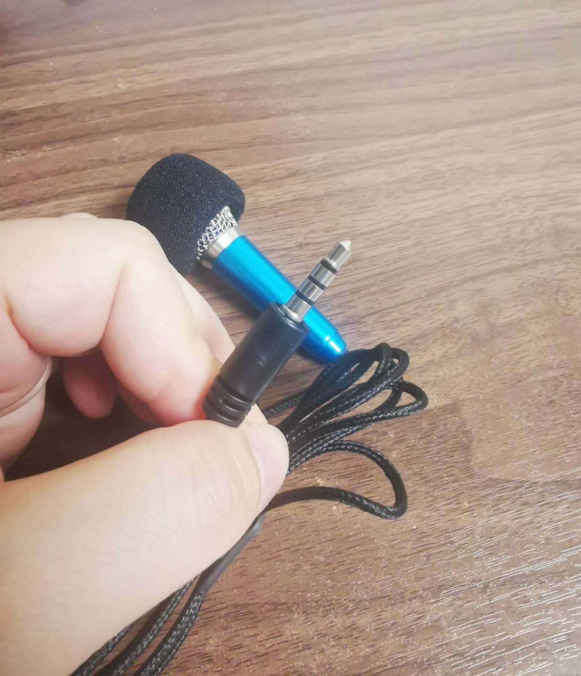 Mini Mike ( Works! )